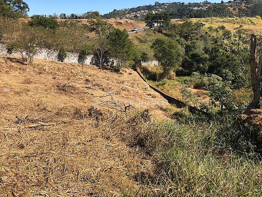 Terreno Residencial à venda em Salvaterra, Juiz de Fora - MG - Foto 3