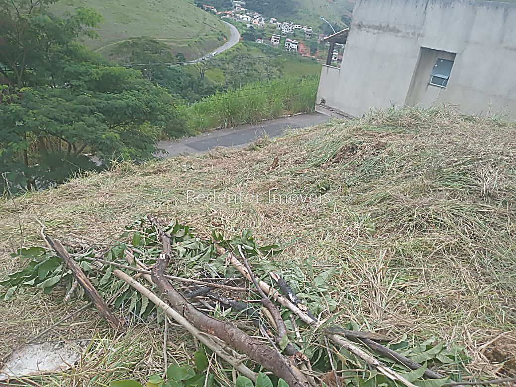 Terreno Residencial à venda em Terras Altas, Juiz de Fora - MG - Foto 5