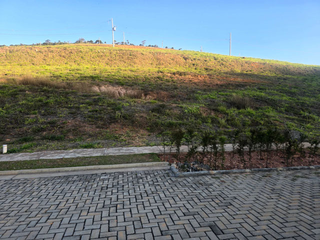 Foto cadastro cód. 1737