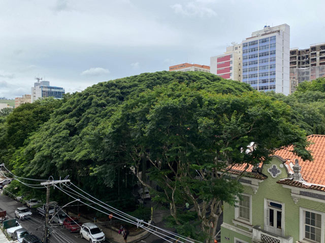 Foto cadastro cód. 1868