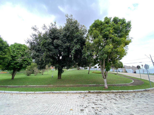 Foto cadastro cód. 1876