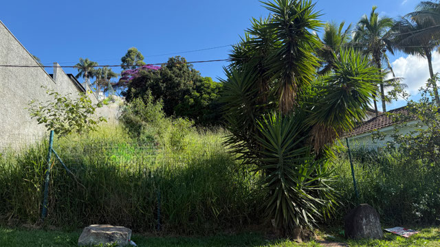 Foto cadastro cód. 1933