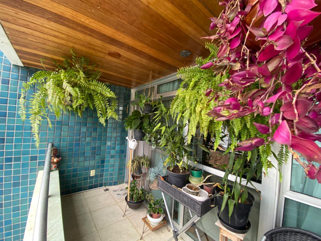 Foto cadastro cód. 1961