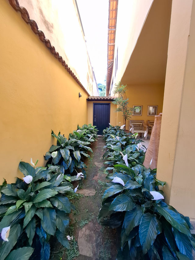 Foto cadastro cód. 2010