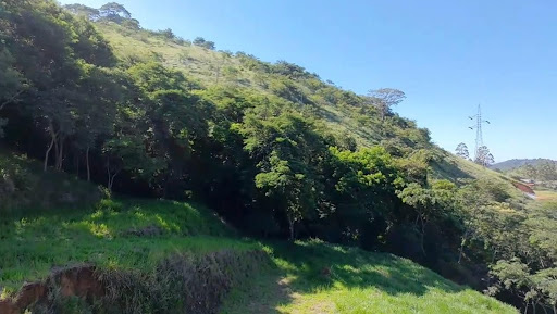 Área de preservação