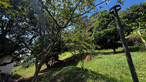 Foto cadastro cód. 11046