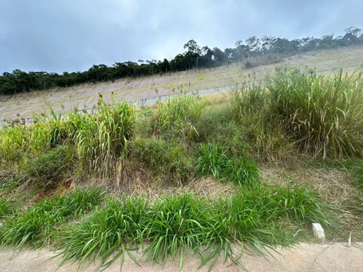 Foto cadastro cód. 11181