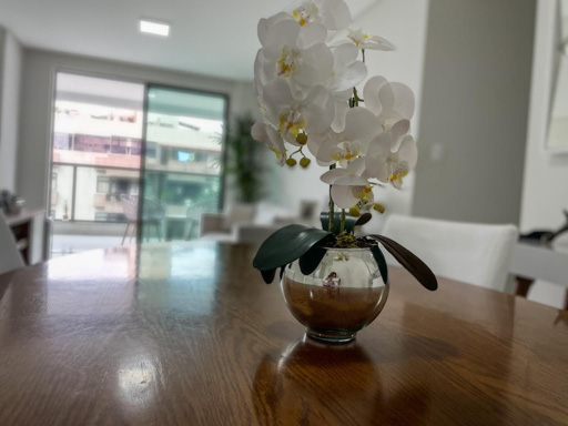 Foto cadastro cód. 11288