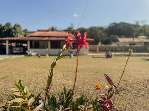 Bastante espaço e privacidade