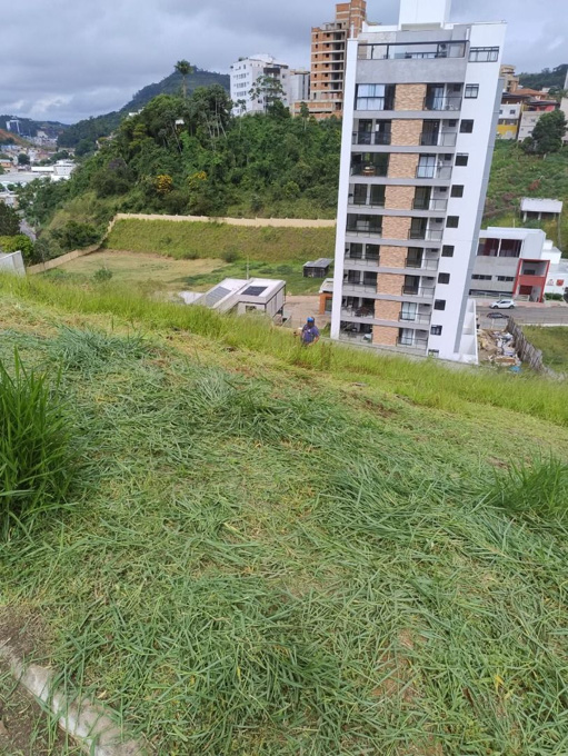 Foto cadastro cód. 11446