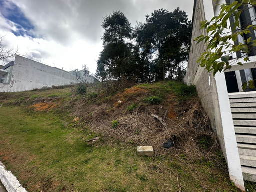 Foto cadastro cód. 11465