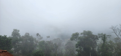 Foto cadastro cód. 11541