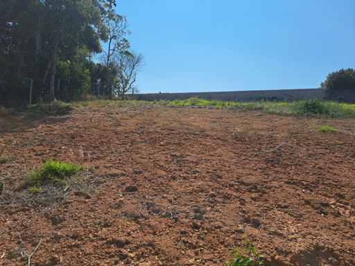 lotes com topografia plana