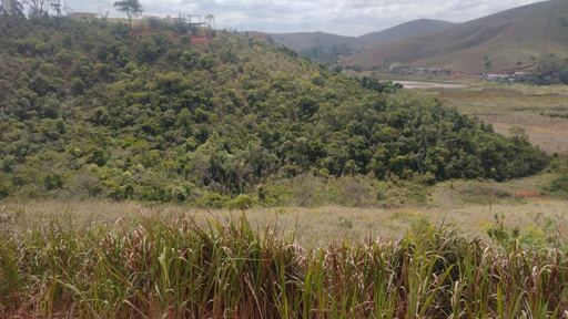 Foto cadastro cód. 11669