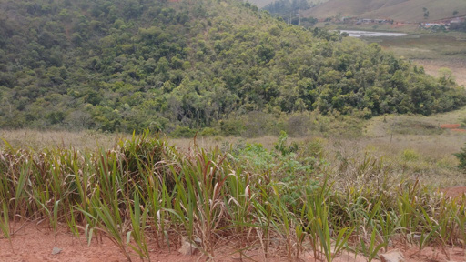 Foto cadastro cód. 11669