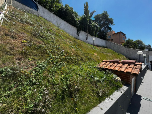 Foto cadastro cód. 11694