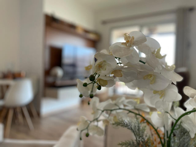 Sala em dois ambientes