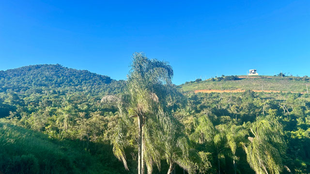 CERCADO DE VERDE