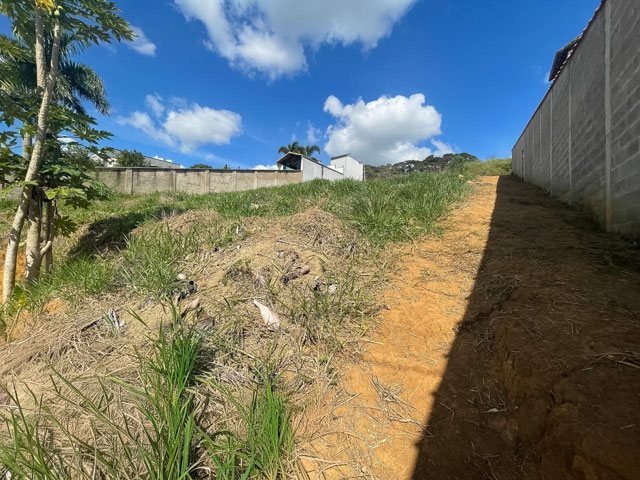 TERRENO COM FRENTE 19,60