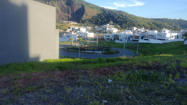 FRENTE