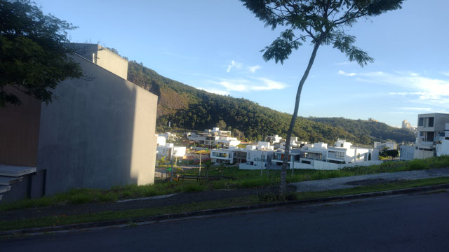FRENTE