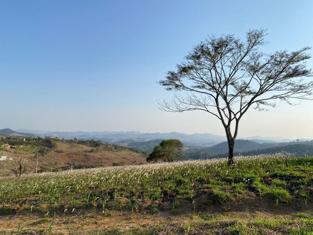 Lote com 3.381,60m2, plano, com vista deslumbrante!