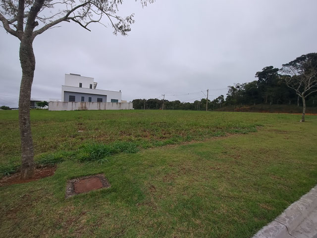 LATERAL ESQUERDA