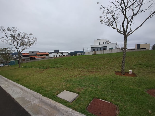 LATERAL DIREITA