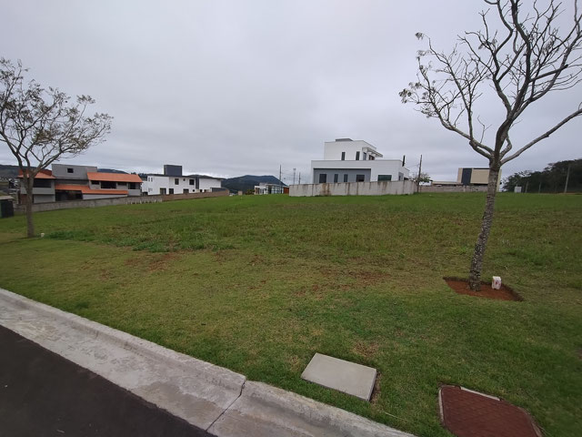 LATERAL DIREITA