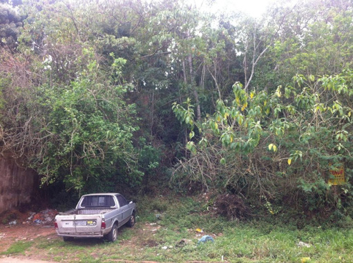 Foto cadastro cód. 1859