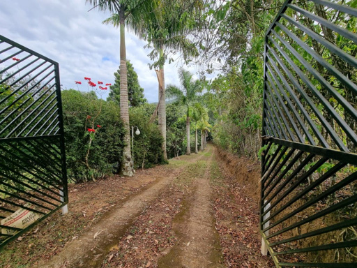 PORTÃO DE ACESSO