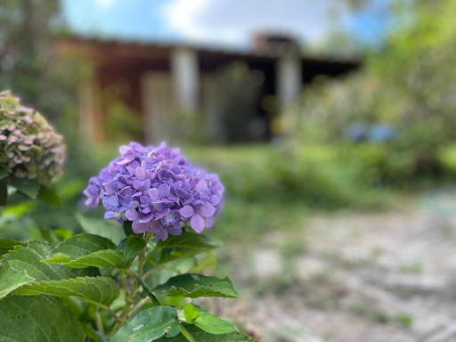 Casa com 6 quartos para Venda no bairro São Pedro em Juiz de Fora, MG