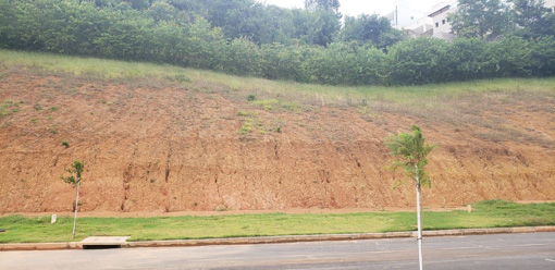 Foto cadastro cód. 7964