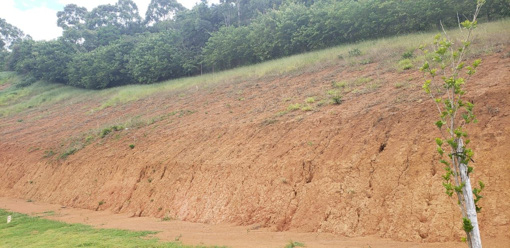 Foto cadastro cód. 7964