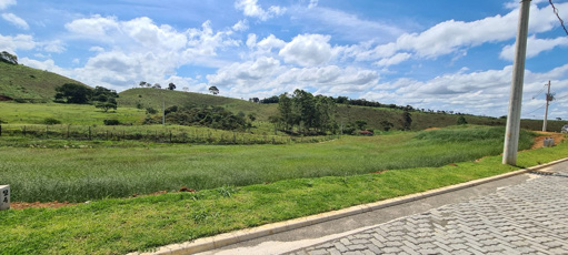 Foto cadastro cód. 8158