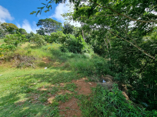 Foto cadastro cód. 8446