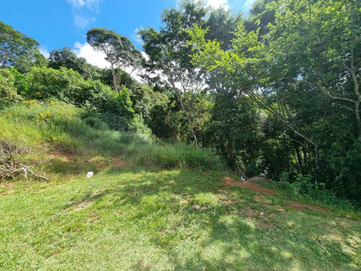 Foto cadastro cód. 8446