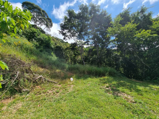 Foto cadastro cód. 8446