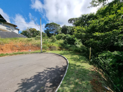 Foto cadastro cód. 8446