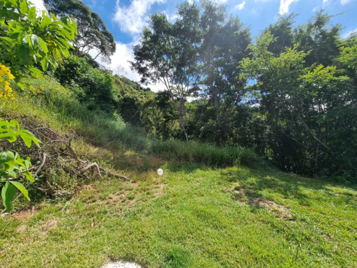 Foto cadastro cód. 8446