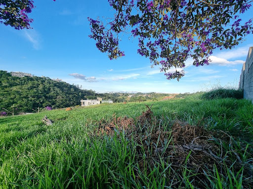 Foto cadastro cód. 8501