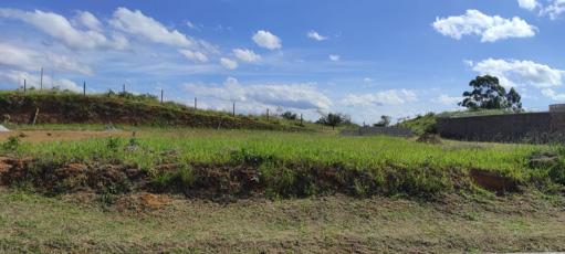 Foto cadastro cód. 8504