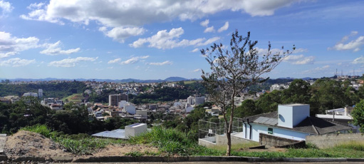 Foto cadastro cód. 8505