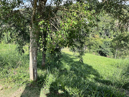 Foto cadastro cód. 8551