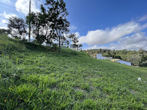 Foto cadastro cód. 8551