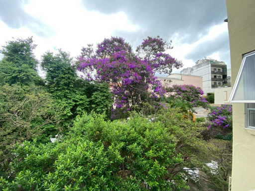 Foto cadastro cód. 9497