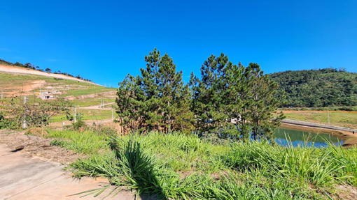 Foto cadastro cód. 9878