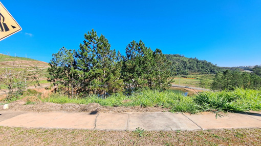 Foto cadastro cód. 9878