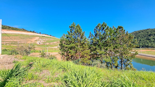 Foto cadastro cód. 9878