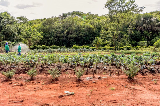 Casa Térrea com 4 quartos para venda ou Locação na Reserva da Coroa no Condomínio Portal do Sol Green em Goiânia - Foto